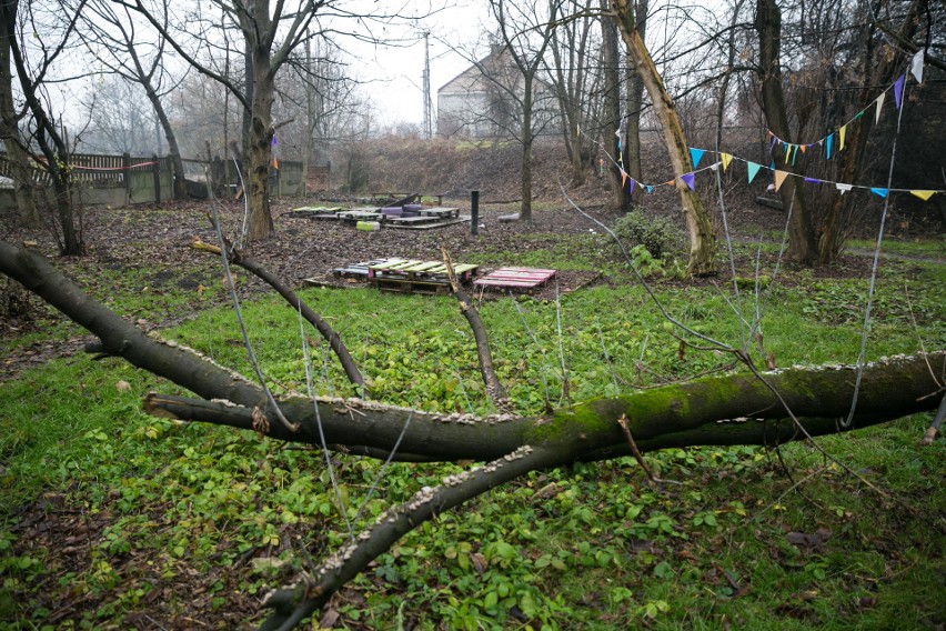 Kraków. Nie pozwolą sprzedać zieleńca przy Dekerta