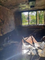 Po pożarze w Młodzieżowym Ośrodku Wychowawczym dla Dziewcząt w Kruszwicy. Doszło do podpalenia?