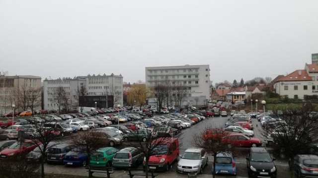 Parking przy palmiarni czekają zmiany. Czy uda się zrealizować plan?