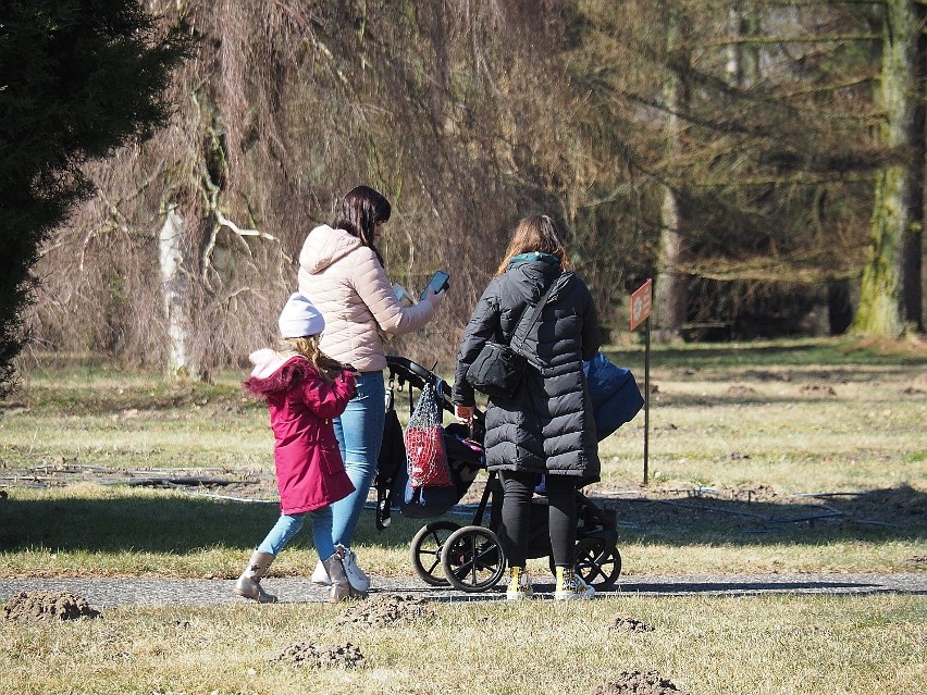 W weekend można było zwiedzać łódzki Ogród Botaniczny. Chętnych do podziwiania piękna natury nie brakowało