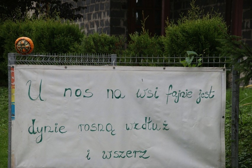 Goczałkowice-Zdrój: Dożynki gminno-powiatowe 2014. Święto plonów za nami [ZDJĘCIA]