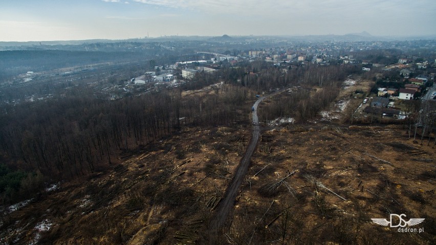 Rybnik: Wycinają las pod drogę Racibórz-Pszczyna