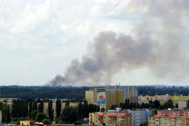 Pożar zboża w Małyszynie widziany z Górczyna w Gorzowie.