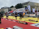 Drugi dzień zmagań strażaków w zawodach FireFit Wrocław 2023. Możecie ich zobaczyć na pl. Wolności, tuż pod NFM!