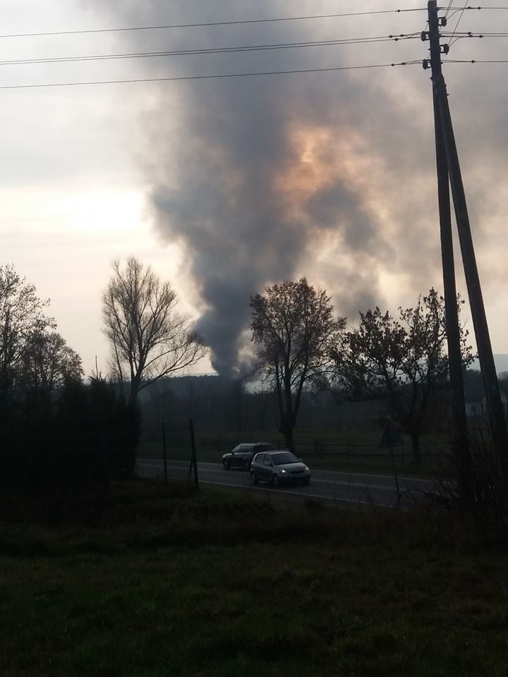 Dobrzyniewo Duże: Pożar na terenie firmy AMBIT. Na złomowisku spaliło się 20 pojazdów [ZDJĘCIA]