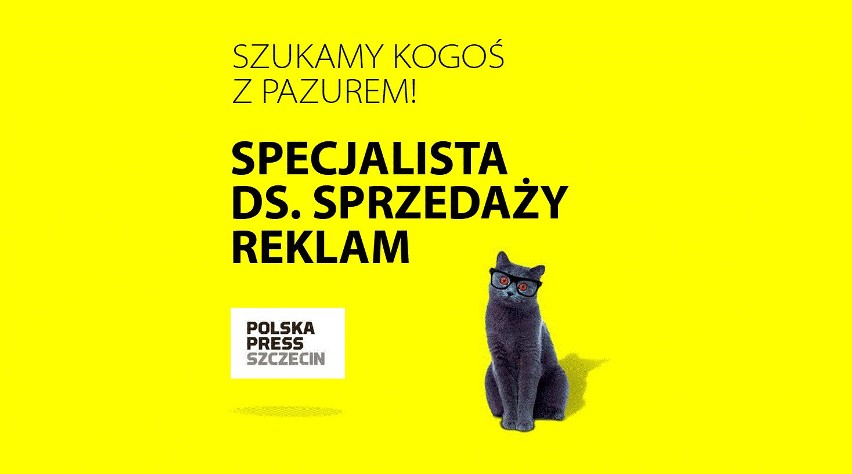 Oferta pracy w Szczecinie! Szukamy kogoś z pazurem! 