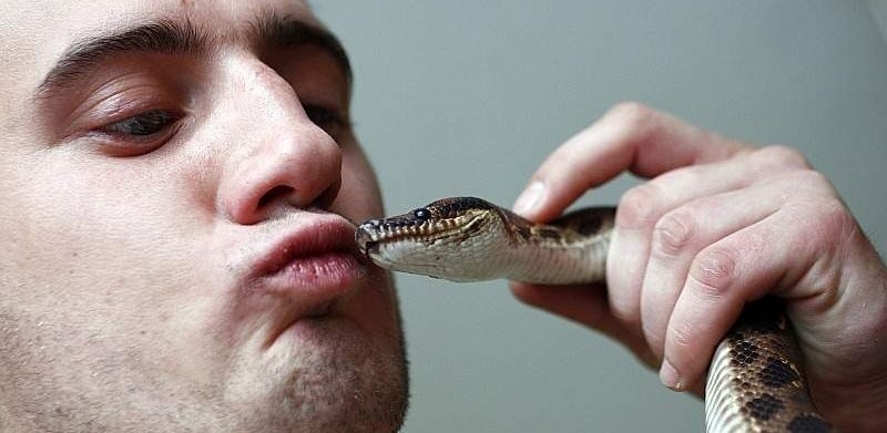 Pocałunek węża. Nie z każdym gatunkiem na taka poufałość...