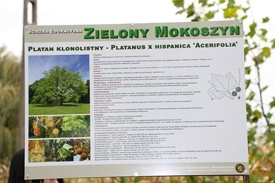 Tablica informacyjna opisująca  projekt "Zielony Mokoszyn",...