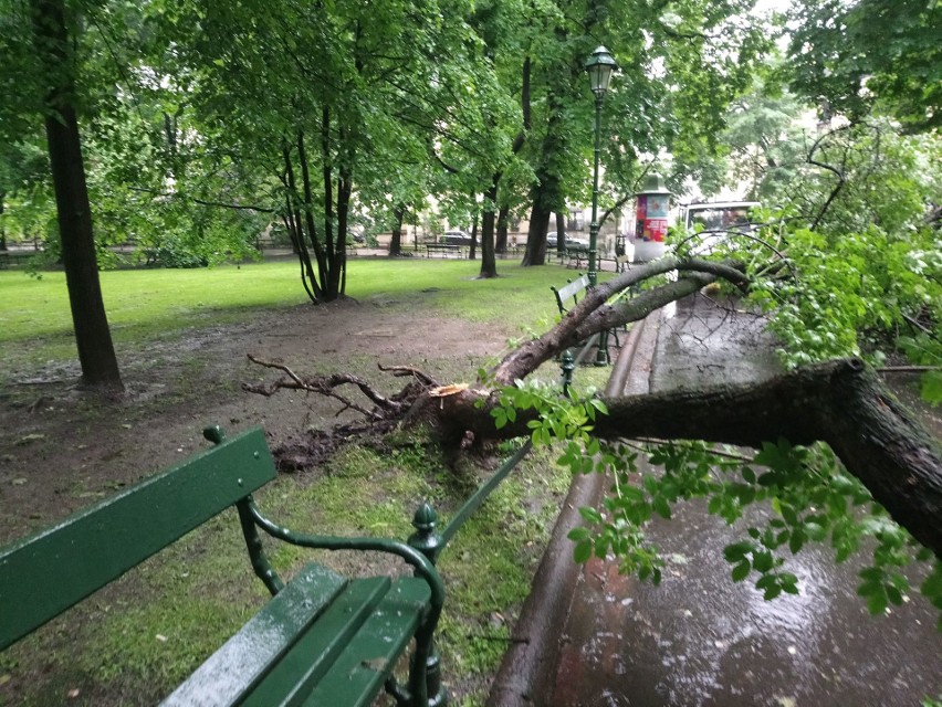 Ulewy i nawałnice w Krakowie. Na Plantach przewróciły się drzewa [ZDJĘCIA]