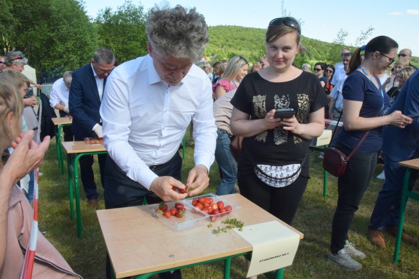 Tak wyglądał etap konkursu na szypułkowanie truskawek wśród...