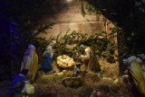 Boże Narodzenie 2020. Szopki bożonarodzeniowe w kościołach na Pomorzu. Tak na święta udekorowano parafie. Zobaczcie zdjęcia!