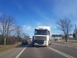 Grabówka. DK 65 zablokowana po zderzeniu dwóch samochodów ciężarowych [ZDJĘCIA]