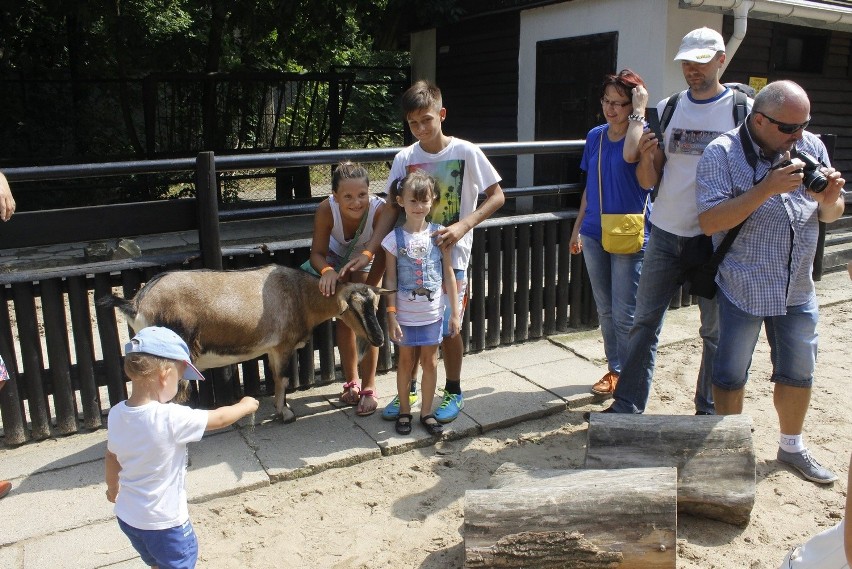 Urodziny Łodzi 2014. Bezpłatne zwiedzanie łódzkiego ogrodu zoologicznego [ZDJĘCIA]