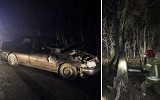 Na trasie Żyrzyn–Kotliny drzewo przewróciło się na jadący samochód. Zobacz zdjęcia