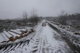 Jaworzno. Piły poszły w ruch. Gmina mówi o 300 ha strategicznej inwestycji na skalę miasta, regionu i państwa