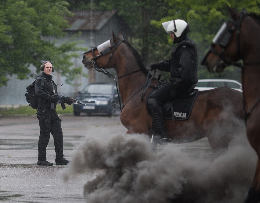 Konie policji i straży miejskiej w akcji. Wjeżdżali w agresywny tłum [ZDJĘCIA+FILM]
