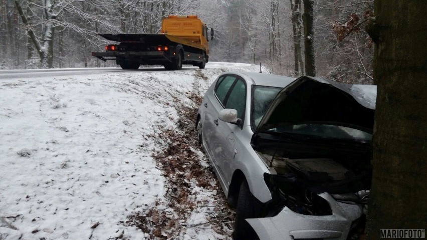 Kierowca jechał sam, został odwieziony do szpitala w Brzegu.