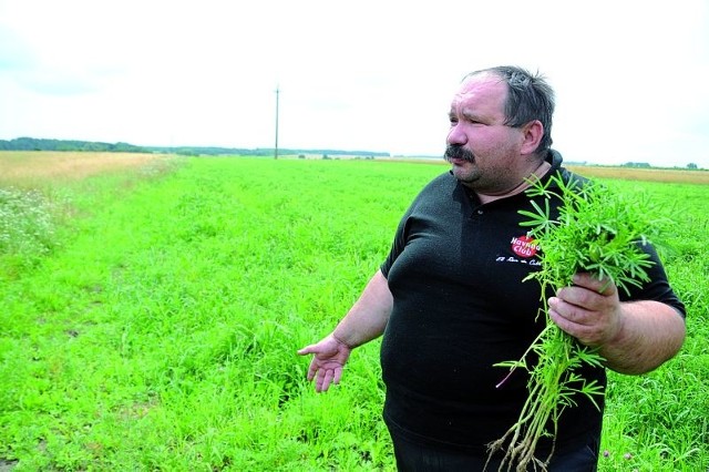 To było nasze źródło utrzymania - załamuje ręce Edward Koc.