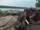 Nawałnica w Wągrowcu. Przez powiat wągrowiecki przechodzą burze. Straż pożarna odebrała ponad 100 zgłoszeń. Zobacz zdjęcia