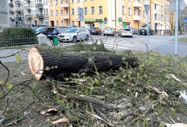 Silny wiatr spowodował w Szczecinie wiele szkód.