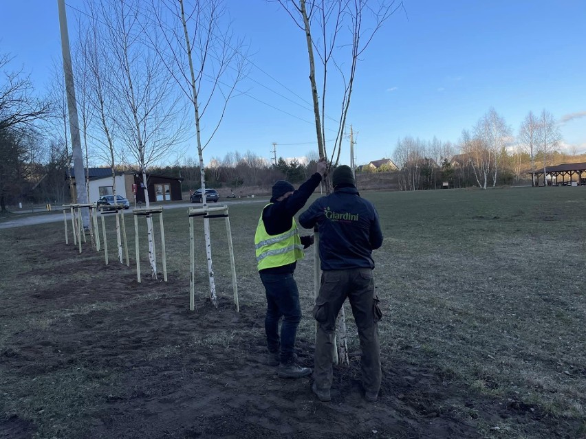 W Bąkowie obok infrastruktury rekreacyjnej wyrasta więcej drzew