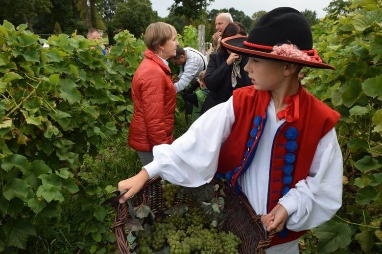 A tak było podczas poprzedniej edycji Winobrania w Zaborze