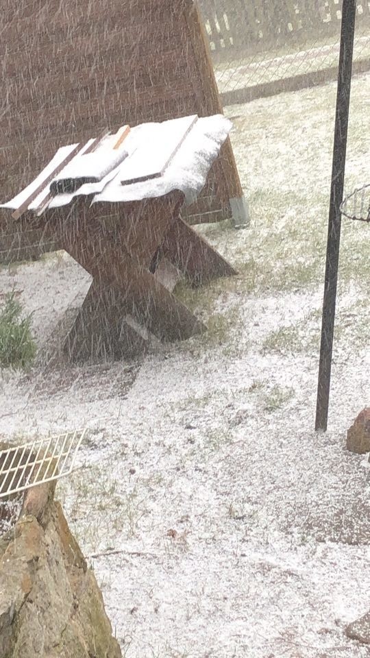 Śnieg na Podlasiu. Tydzień przed nadejściem wiosny zaatakowała zima [14.03.2020]