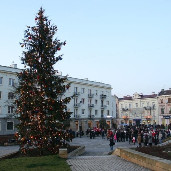 Świąteczną choinkę roziskrzyły setki kolorowych światełek.