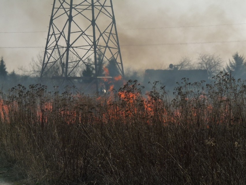 Pożar traw przy ul. Zemborzyckiej w Lublinie