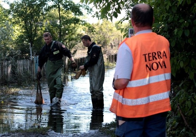 Pracownicy firmy Terra Nova wspólnie ze strażakami wciąż penetrują zalane działki w poszukiwaniu zwierząt. Tym razem trafili na martwą sarnę.