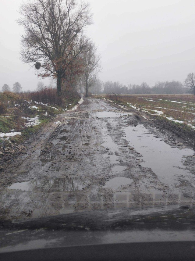 - My też płacimy podatki, dlatego i nam należą się warunki życia, które ma większość mieszkańców. My też chcemy mieć pewność dojazdu do szkoły, lekarza, pracy - mówią mieszkańcy sołectwa Buczek - Skrzynki w powiecie świeckim