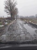 Kiedy wreszcie utwardzą drogę z Buczka do Czerska Świeckiego? Na pewno nie w tym roku 