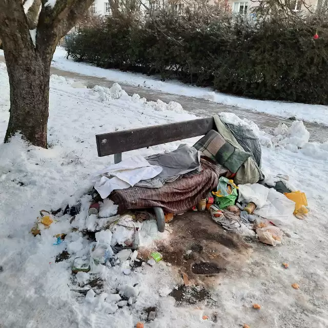 Przemysław Piwecki, rzecznik prasowy Straży Miejskiej Miasta Poznania przesłał nam zdjęcie pokazujące warunki, w jakich koczował bezdomny - zawsze pijany - w parku Kasprowicza. Ostatecznie uległ policji i został zabrany do ogrzewalni. Na jak długo, Piwecki przekazuje, że nie wiadomo, ponieważ od bardzo dawna odmawiał udzielenia sobie jakiekolwiek pomocy