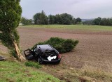 Wypadek na drodze wojewódzkiej nr 794 pod Krakowem. Samochód wypadł z drogi i uderzył w drzewo. Jest osoba ranna