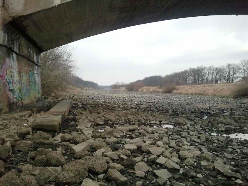 Powódź 2013: We Wrocławiu wody przybywa, a kanał powodziowy w remoncie