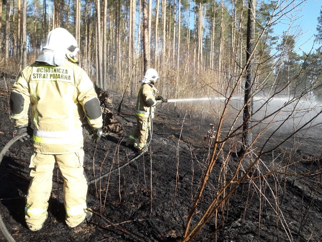 Ochotnicy z Ugoszczy w gminie Bytów zostali wysłani do gaszenia pożaru łąki, a następnie lasu. Strażacy, jak co roku apelują o niewypalanie traw!