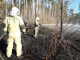 Zaczęło się wypalanie traw. Strażacy: to niebezpieczne