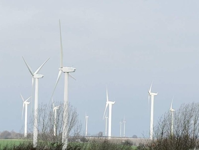 Niemiecka firma Loscon, która zamierza zbudować farmy wiatrowe w Trzebiechowie i Kargowej ma duże doświadczenie zdobyte zarówno w Niemczech, jak i we Francji (fot. Mariusz Kapała)