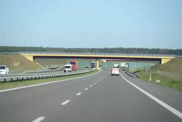 S16 z Knyszyna do Ełku połączy Via Carpatię i Via Baltikę