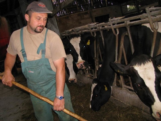Krowy Andrzeja Kruszyny dają najwięcej mleka w województwie.