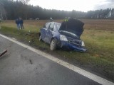 Wypadek w Jeleniach. Kierująca oplem merivą straciła panowanie nad kierownicą. Do zdarzenia doszło 7.04.2023