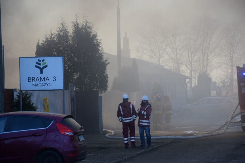 Pożar w budynku firmy Stolmach w Nowym Dworze Gdańskim 1.03.2021 r. Paliła się hala produkcyjna na terenie zakładu [zdjęcia]