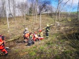 Tragedia przy wycince drzew w Karwodrzy. Spadający konar drzewa uderzył w mężczyznę. Mimo reanimacji nie udało się uratować mu życia