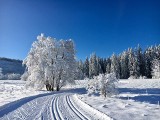 Zakopane, Kościelisko, Białka, Turbacz... Wiemy gdzie można (znów) biegać na nartach [GALERIA]