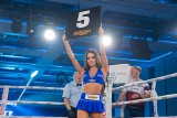 Gala Boksu w Zakopanem. Zobacz piękne ring girls [ZDJĘCIA]