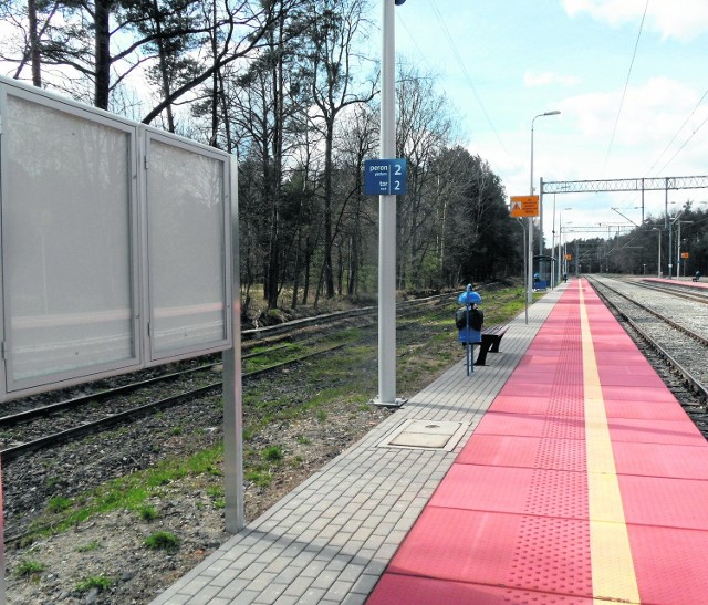 Na stacji Pawonków stoją nowiutkie tablice informacyjne, ale jakichkolwiek informacji na nich brak. Bo i niby o czym?