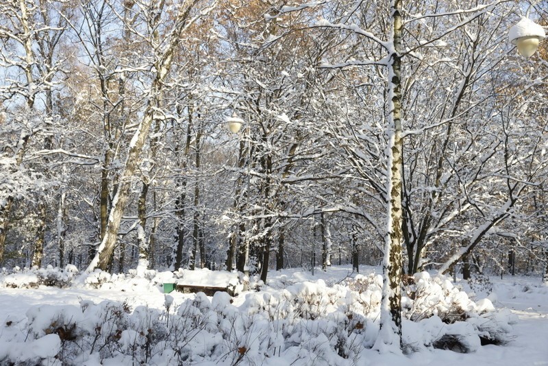 Park Kościuszki w Katowicach w zimowej odsłonie...