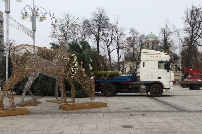 Na placu Biegańskiego w Częstochowie stanęła choinka. Zobacz...