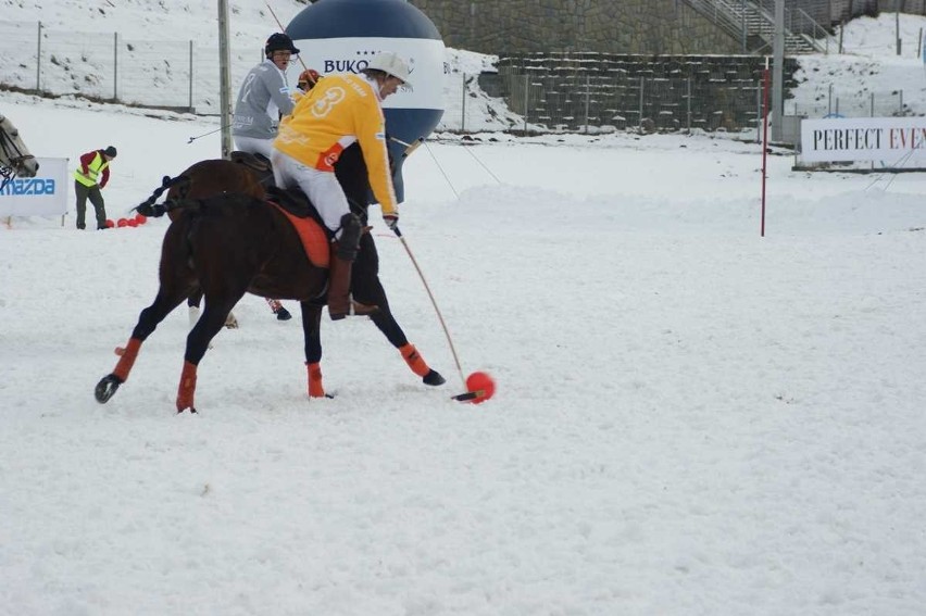 Zawody w polo na śniegu w Bukowinie Tatrzańskiej.
