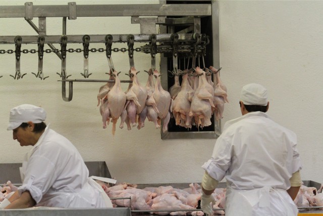 Dotacje mają pomóc ubojniom i zakładom przetwórstwa mięsnego odbić się od pandemicznego kryzysu.